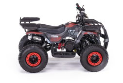 Квадроцикл MOTAX Grizlik X16 (PS), фото 2