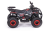 Квадроцикл MOTAX Grizlik X16 (PS)