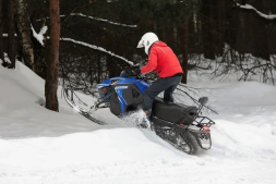 Снегоход SHARMAX SN-280, фото 19