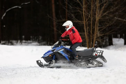 Снегоход SHARMAX SN-280, фото 18