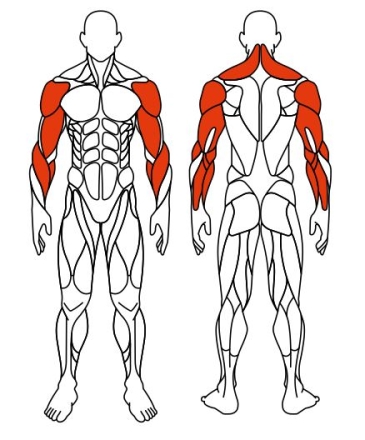 Рули (положение сидя) серый - Уличный тренажер - СТ 104-13, фото 6