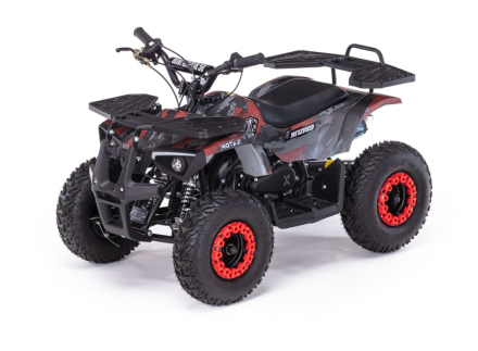 Квадроцикл MOTAX Grizlik X16 (PS, BW), фото 1