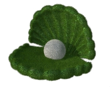 Топиари Ракушка, h=84см - газон Eco