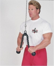 Гибкая тяга (канат) для трицепса Body-Solid TR20 Гибкая тяга (канат) для трицепса Body-Solid TR20