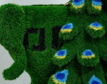 Топиари Павлин на вазоне греческом - газон Есо