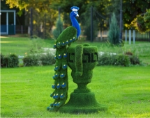 Топиари Павлин на вазоне греческом - газон Есо