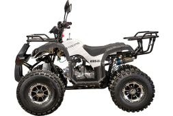 Квадроцикл YACOTA Kids 8 LD, фото 2