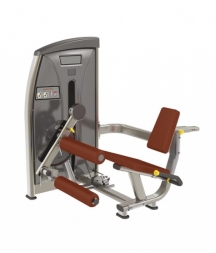 BRONZE GYM E-013_C Сгибание ног сидя