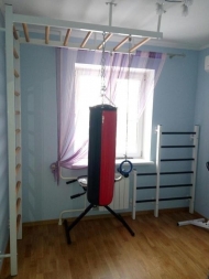 Шведская стенка EffectSport комбинированная Гибрид-РГ, фото 2