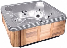СПА бассейн Coast Spas Islander
