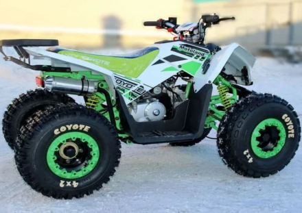 Квадроцикл MOTOLAND 125 Coyote (2021 Г.), фото 9