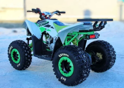 Квадроцикл MOTOLAND 125 Coyote (2021 Г.), фото 8