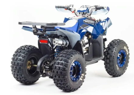 Квадроцикл MOTOLAND 125 Coyote (2021 Г.), фото 7