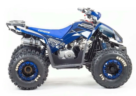 Квадроцикл MOTOLAND 125 Coyote (2021 Г.), фото 6