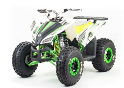 Квадроцикл MOTOLAND 125 Coyote (2021 Г.), фото 4