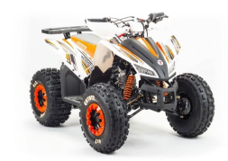 Квадроцикл MOTOLAND 125 Coyote (2021 Г.), фото 2