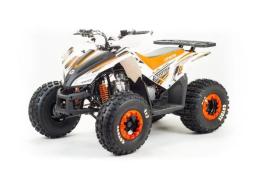 Квадроцикл MOTOLAND 125 Coyote (2021 Г.), фото 1