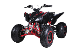 Квадроцикл MIKILON Rapide 200 EFI, фото 3 Квадроцикл MIKILON Rapide 200 EFI, фото 3