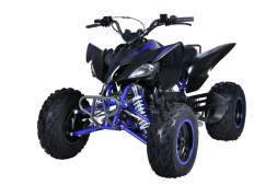 Квадроцикл MIKILON Rapide 200 EFI, фото 2 Квадроцикл MIKILON Rapide 200 EFI, фото 2