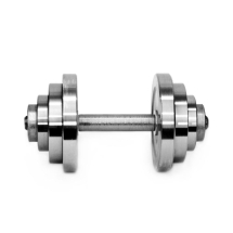 Гантель разборная STAR FIT 24 кг SF-8012 Гантель разборная STAR FIT 24 кг SF-8012