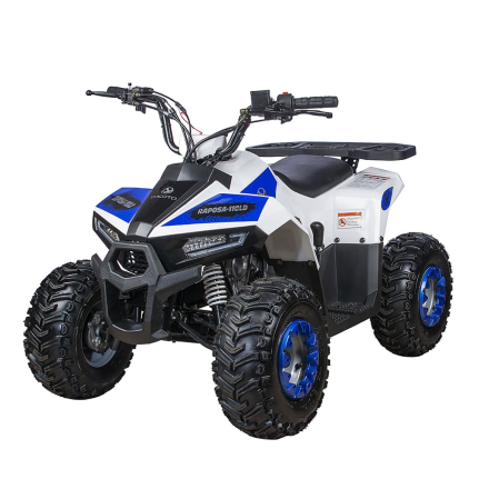 Квадроцикл YACOTA Raposa, фото 1