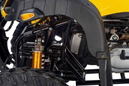 Квадроцикл RAPTOR Max Pro 250 (жёлтый/чёрный) (2024), фото 11 Квадроцикл RAPTOR Max Pro 250 (жёлтый/чёрный) (2024), фото 11