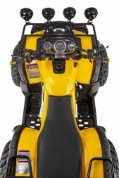 Квадроцикл RAPTOR Max Pro 250 (жёлтый/чёрный) (2024), фото 4 Квадроцикл RAPTOR Max Pro 250 (жёлтый/чёрный) (2024), фото 4