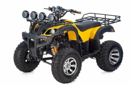Квадроцикл RAPTOR Max Pro 250 (жёлтый/чёрный) (2024), фото 1 Квадроцикл RAPTOR Max Pro 250 (жёлтый/чёрный) (2024), фото 1