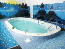 Бассейн 6,2х3х1,48м. Фишт Marshall Pools (чаша)