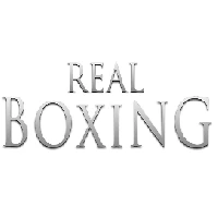 RealBoxing