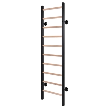 Шведская стенка RS-GB13