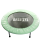 Батут TR-101 101 см, мятный