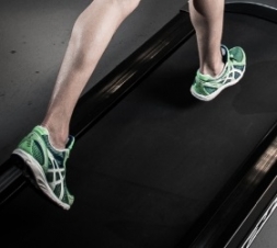 BH FITNESS PIONEER R5 TFT Беговая дорожка, фото 4