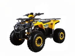 Багги Segway UTV Fugleman UT10 CREW PREMIUM, фото 4