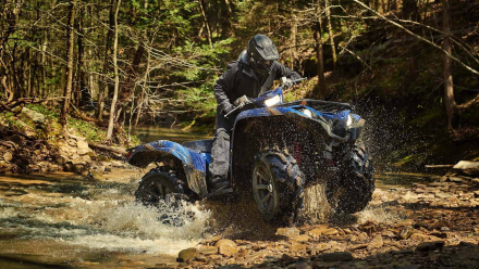 Квадроцикл YAMAHA Grizzly 700 EPS STD (ПСМ), фото 6