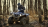 Квадроцикл YAMAHA Grizzly 700 EPS STD (ПСМ)