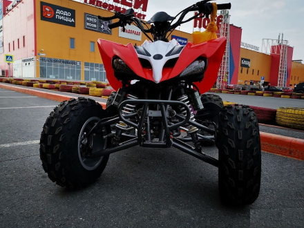 Квадроцикл MOTOLAND 250S Pro, фото 3