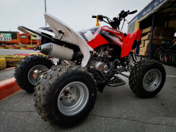 Квадроцикл MOTOLAND 250S Pro, фото 2