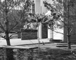 Скульптура из нержавеющей стали Лотос Увеличенный размер, фото 6