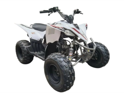 Квадроцикл MIKILON Rapide 120 EFI Квадроцикл MIKILON Rapide 120 EFI