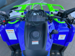 Квадроцикл IRIDE 200 ROVER, фото 7 Квадроцикл IRIDE 200 ROVER, фото 7