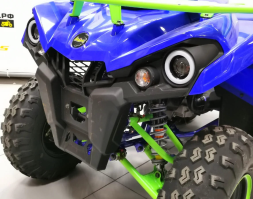 Квадроцикл IRIDE 200 ROVER, фото 6 Квадроцикл IRIDE 200 ROVER, фото 6