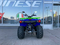 Квадроцикл IRIDE 200 ROVER, фото 5 Квадроцикл IRIDE 200 ROVER, фото 5