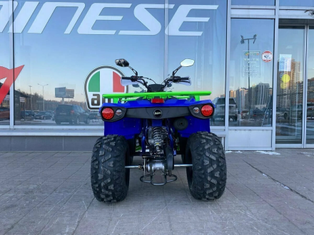 Квадроцикл IRIDE 200 ROVER, фото 5