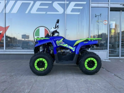 Квадроцикл IRIDE 200 ROVER, фото 4 Квадроцикл IRIDE 200 ROVER, фото 4