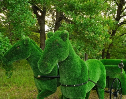 Топиари композиция Карета с лошадьми - газон Deluxe, фото 2