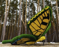 Топиари бабочка Искорка - газон Eco, фото 1
