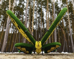 Топиари бабочка Искорка - газон Eco, фото 3