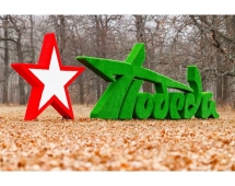 Топиари стела Победа со звездой I - газон Eco