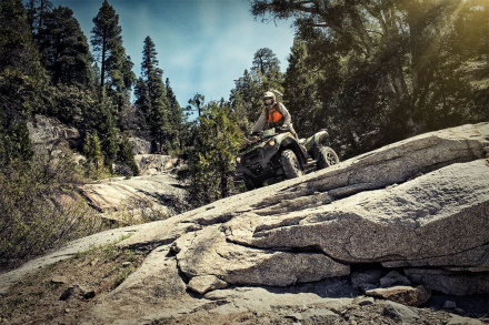 Квадроцикл KAWASAKI Brute Force KVF 750 4x4i EPS (2023) (ПСМ), фото 6